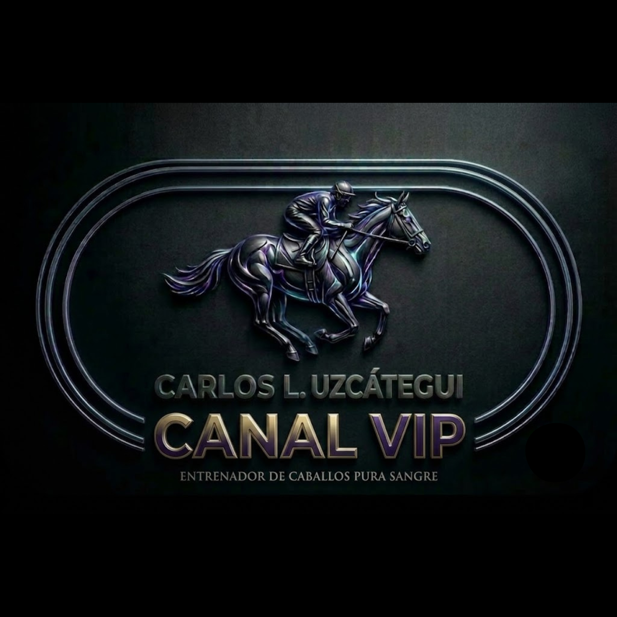 Carlos L. Uzcátegui — Canal VIP